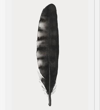 Cuadro Pluma Acuarela 3