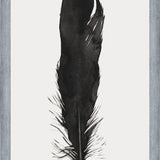 Cuadro Pluma Acuarela 1