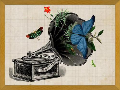 Cuadro Gramophone Vintage