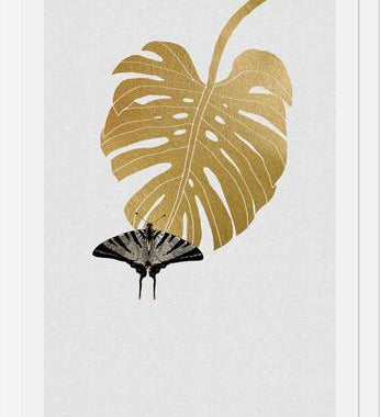 Cuadro Butterfly and Monstera Leaf