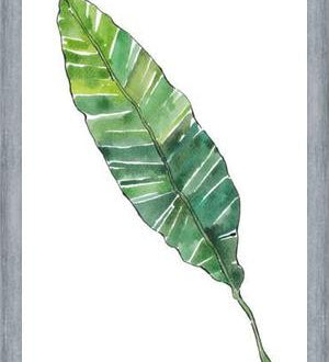 Cuadro HOJA DE PLATANO