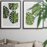 Set de Cuadros Monstera Leaf II y III