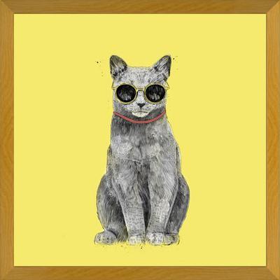 Cuadro Summer Cat