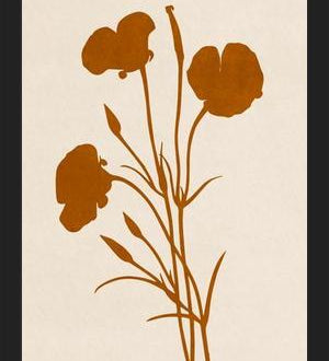 Cuadro Minimal Flowers - 01g