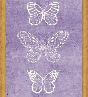 Cuadro Mariposas