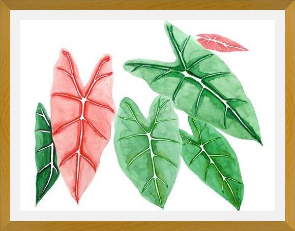 Cuadro alocasia