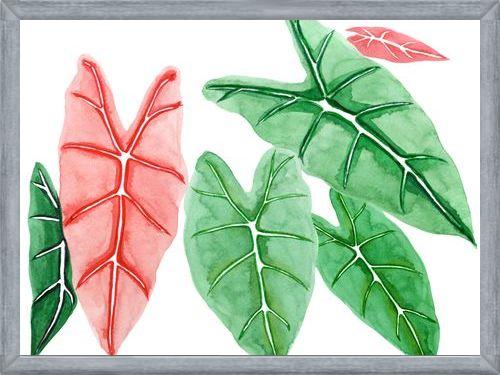 Cuadro alocasia