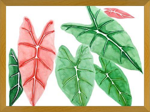 Cuadro alocasia
