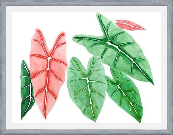 Cuadro alocasia