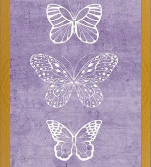Cuadro Mariposas