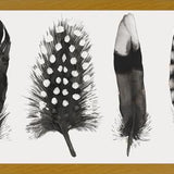 Cuadro Plumas Acuarela