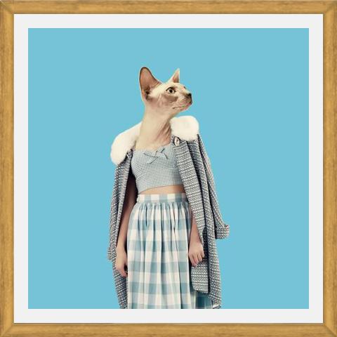 Cuadro Cat