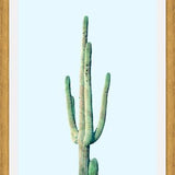 Cuadro Loner Cactus