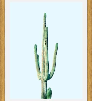 Cuadro Loner Cactus