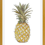 Cuadro PIÑA