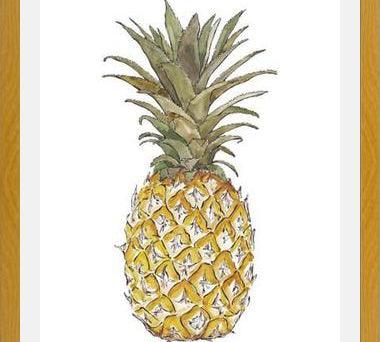 Cuadro PIÑA