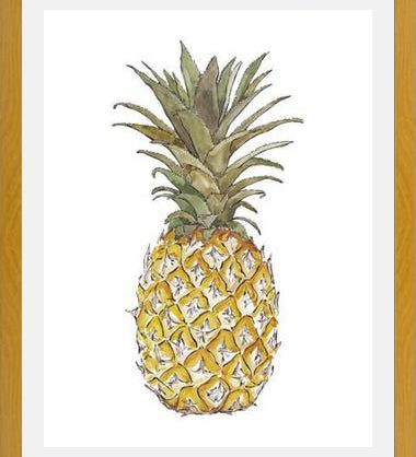 Cuadro PIÑA
