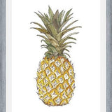 Cuadro PIÑA