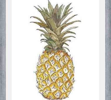 Cuadro PIÑA