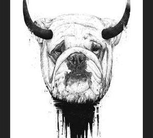 Cuadro Bulldog