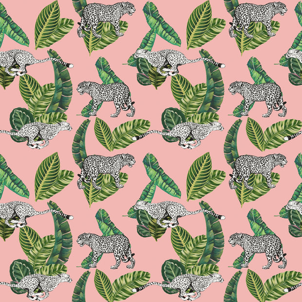 Papel Mural Guepardo