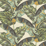 Papel Mural Banano