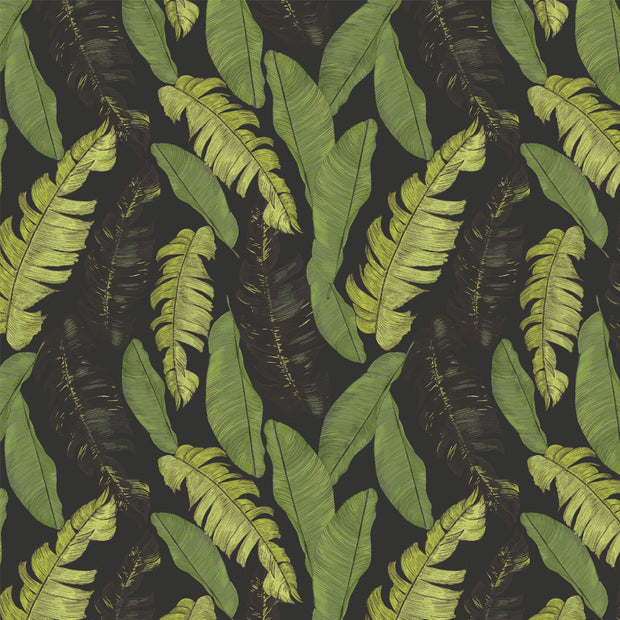 Papel Mural Hand drawn beautiful tropical leaves