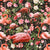 Papel Mural Floral and Flamingo Pattern