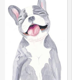 Cuadro Bulldog Frances Gris
