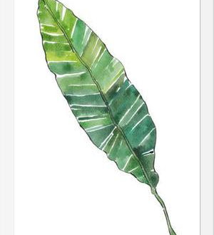 Cuadro HOJA DE PLATANO