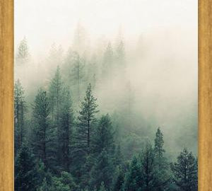 Cuadro The Fog And The Forest II
