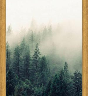Cuadro The Fog And The Forest II