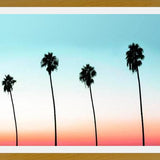 Cuadro Sunset Boulevard