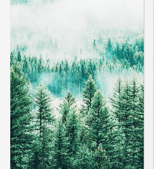Cuadro Forest and Fog