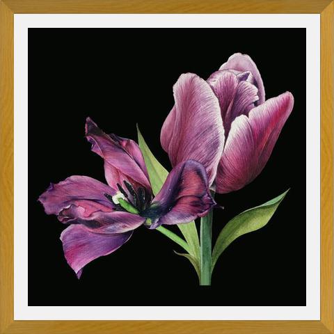 Cuadro Pareja de tulipanes