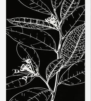 Cuadro LEAVES IN LINE - BLACK