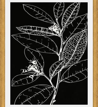 Cuadro LEAVES IN LINE - BLACK