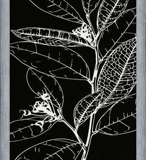 Cuadro LEAVES IN LINE - BLACK