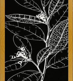 Cuadro LEAVES IN LINE - BLACK
