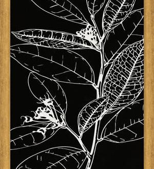 Cuadro LEAVES IN LINE - BLACK