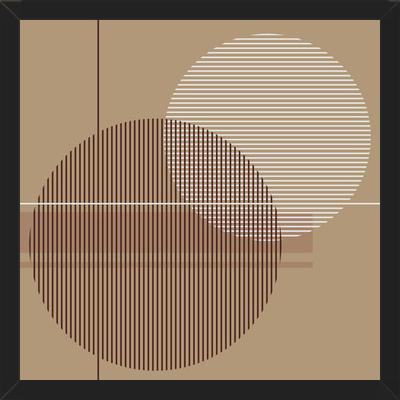 Cuadro Transparent Circles with Lines