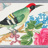 Cuadro Pájaro carpintero