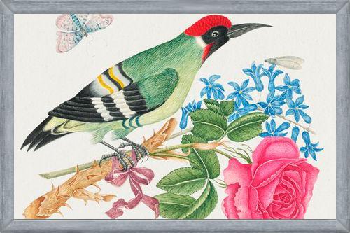Cuadro Pájaro carpintero