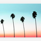 Cuadro Sunset Boulevard