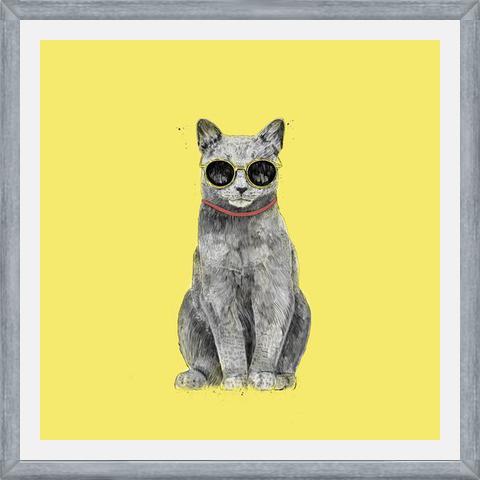 Cuadro Summer Cat