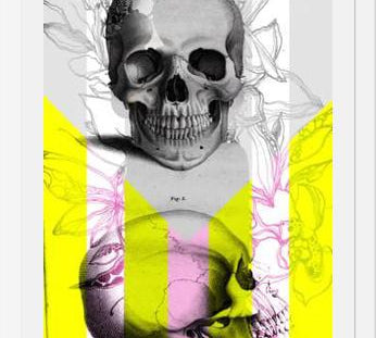 Cuadro Skull in Summer