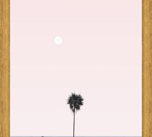 Cuadro La Palmera