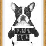 Cuadro Being normal is Boring
