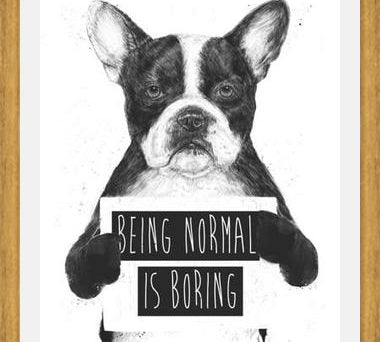 Cuadro Being normal is Boring