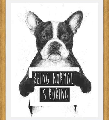 Cuadro Being normal is Boring